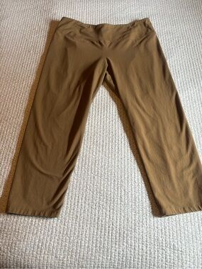 Woman with Control by Renee Greenstein Pants
